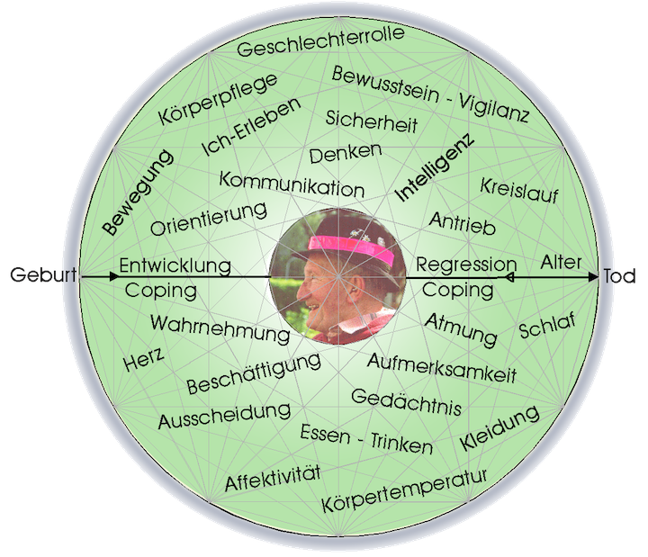 Lebensnetz nach Maria Riedl