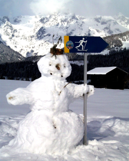 Schneemann